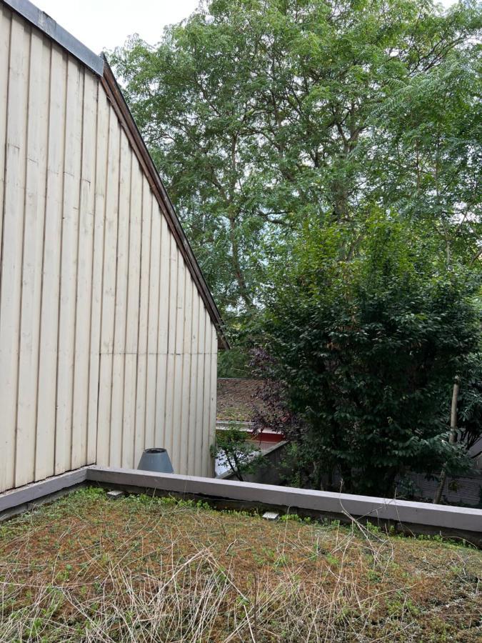 Le K Appartement - Strasbourg Exterior foto